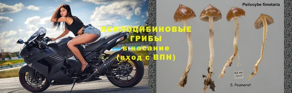 метадон Армянск