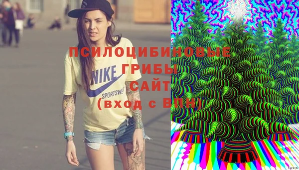 Альфа ПВП Арсеньев