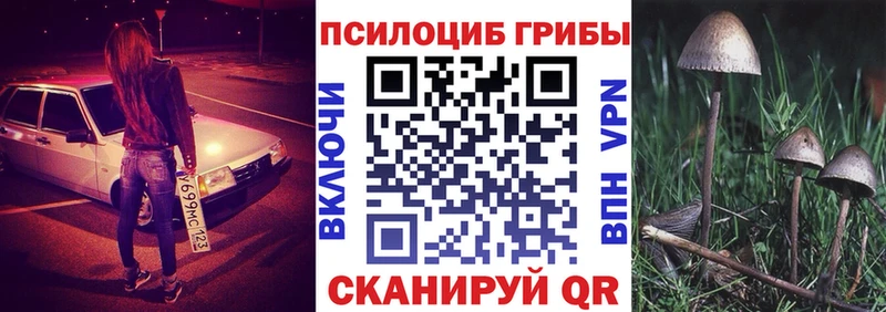 Псилоцибиновые грибы Psilocybine cubensis  Урай 